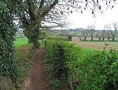 Footpath towards Car Holt Farm - geograph.org.uk - 4931063.jpg