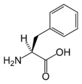 L-Fenyylialaniini (Phe / F)