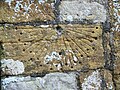 Sundial with half-hour marks at St Martin's in Cheselbourne, Dorset, England