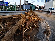 洪水後、通行を妨げていたため道路の端に集められた流木