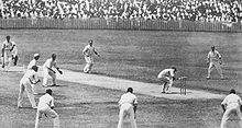 Foto hitam-putih kriket
