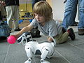 AIBO (Artificial Intelligence roBOt)