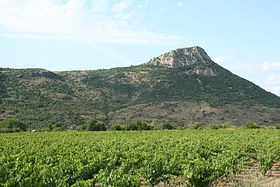 Image illustrative de l’article Languedoc-pézenas