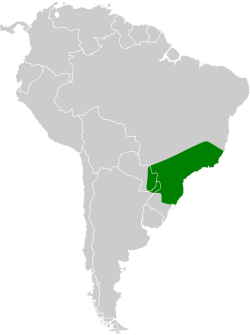 Distribución geográfica del mosquero ladrillito.