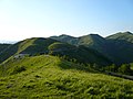 La Strada Provinciale 67 del Monte Fasce