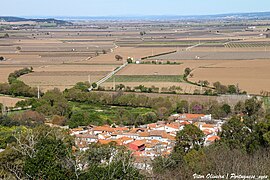 Ribeira de Santarém - Portugal 🇵🇹 (53526173037).jpg