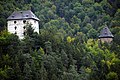 Ruins of Weissenegg castle