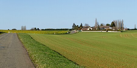 Saulx-la-Ville depuis la route de Diénay.