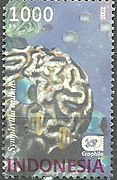Stamp of Indonesia - 2002 - Colnect 265954 - Brain Coral Symphillia radians.jpeg