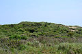 Duinen bij Noordwijk Dunes at Noordwijk