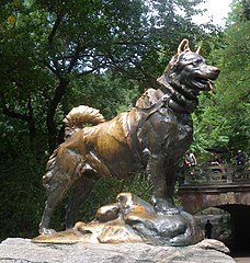 Socha Balta v Central Parku, vůdce psího spřežení, které při rozmáhající se epidemii záškrtu na Aljašce přivezlo antisérum