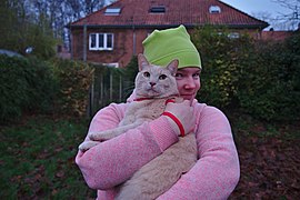 Cat in a harness being held by a pink human in Auderghem, Belgium.jpg