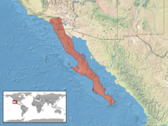 Crotalus ruber distribution.png