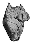 Female torso sculpted in ivory, Upper Palaeolithic period. Wellcome M0015044.jpg