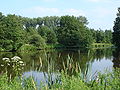 Panorama des großen Sees