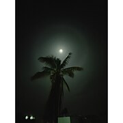 22° lunar halo behind coconut tree in Chikmagaluru on May 24, 2021