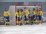 Ukraine at the 2016 World Championship