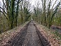 Tussen Gasselte en Gasselternijveen