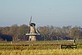 molen de Juffer gezien vanuit het zuiden Gasselternijveen