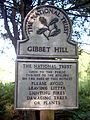 Gibbet Hill