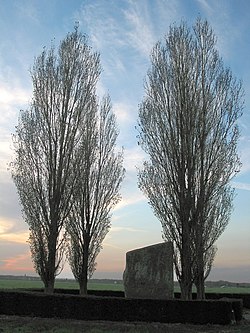 Menhir Pierre Brunehaut