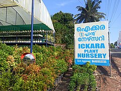 Ickara Plant Nursery.jpg