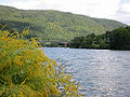 Neckar river near Heidelberg