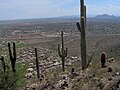 Scottsdale Arizona: tepeden bir panoramik manzarası