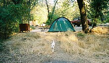 Shasta Lake Campground.JPG