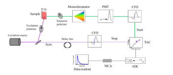 Schéma d'une installation TCSPC