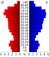 Bevolkingspiramide Flagler County