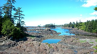 View from Wild Pacific Trail Ucluelet 4.jpg