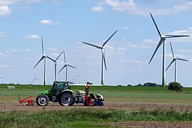 Jordbruk og vindkraftproduksjon i Wesselburenerkoog. Foto: Mark Voigt