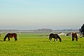 Dal van de Hunze gezien vanaf de Hondsrugweg