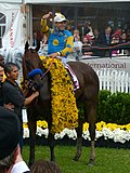 Thumbnail for American Pharoah