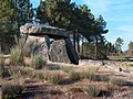 Anta de Fonte Coberta, Alijó, VilaReal