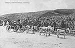 Thumbnail for File:Barbados - Donkeys carting manjak.jpg