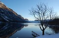 Bohinji järv