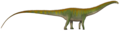 Diplodocus carnegii