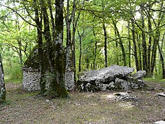 Le dolmen de Peyrelevade.