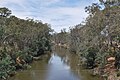 Goulburn River at Murchison, 2009