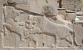Bas-relief in Persepolis