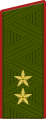 Heer – Uniform Grundform, Russische Streitkräfte ab 2010.