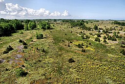 Stora Rågö