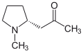 Deutsch: Struktur von (+)-Hygrin English: Structure of (+)-hygrine