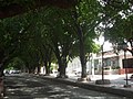 Avenida Los Faroles
