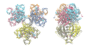 Vignette pour Citrate synthase