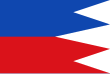 Vlag