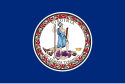 Virginia – Bandiera