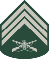 Terceiro-sargento (Brazilian Army)[1]